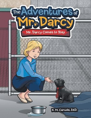 bokomslag Adventures of Mr. Darcy