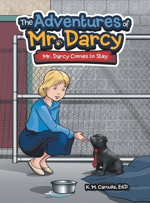 bokomslag Adventures of Mr. Darcy