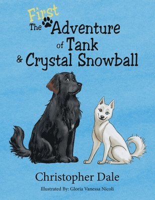 The First Adventure of Tank & Crystal Snowball 1