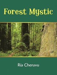 bokomslag Forest Mystic
