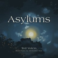 bokomslag Asylums