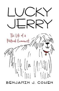 bokomslag Lucky Jerry