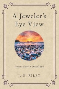 bokomslag Jeweler's Eye View
