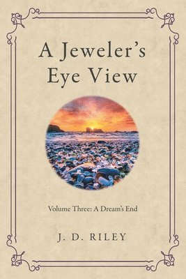 bokomslag Jeweler's Eye View