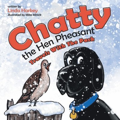 Chatty the Hen Pheasant 1