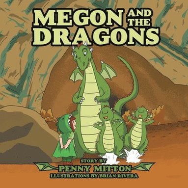 bokomslag Megon and the Dragons
