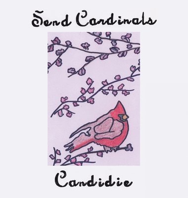 bokomslag Send Cardinals