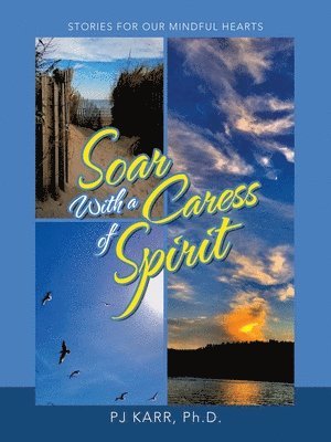 bokomslag Soar with a Caress of Spirit