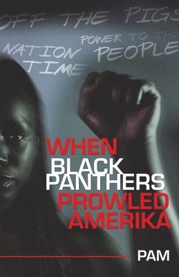 bokomslag When Black Panthers Prowled Amerika