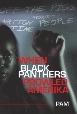 bokomslag When Black Panthers Prowled Amerika