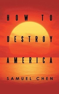 bokomslag How to Destroy America