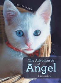 bokomslag The Adventures of Angel