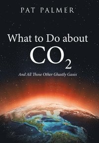 bokomslag What to Do About Co2