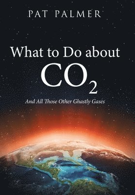 Pat Palmer - What to Do About Co2, Inbunden. Tillgänglighet: Lägg i varukorg