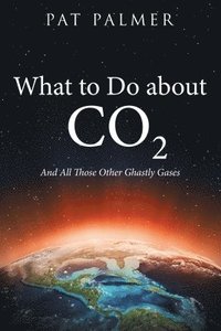 bokomslag What to Do About Co2