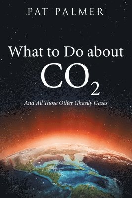 Pat Palmer - What to Do About Co2, Häftad. Tillgänglighet: Lägg i varukorg