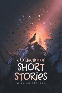 bokomslag A Collection of Short Stories