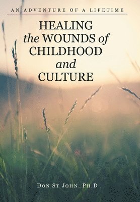 bokomslag Healing the Wounds of Childhood and Culture