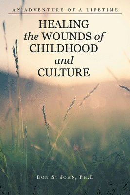 bokomslag Healing the Wounds of Childhood and Culture