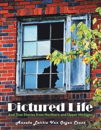 bokomslag Pictured Life: And True Stories from Northern and Upper Michigan