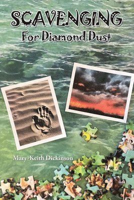 bokomslag Scavenging for Diamond Dust