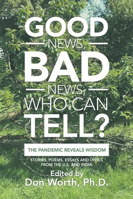 bokomslag Good News, Bad News, Who Can Tell?: The Pandemic Reveals Wisdom