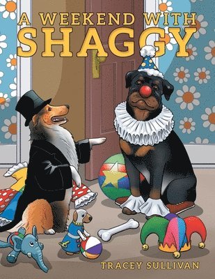 bokomslag Weekend with Shaggy
