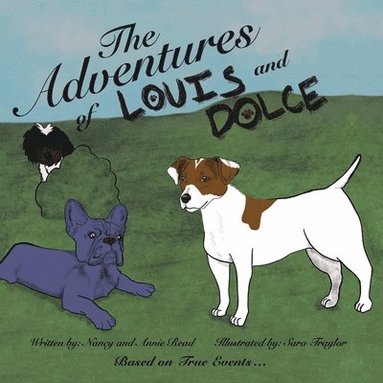bokomslag Adventures of Louis and Dolce