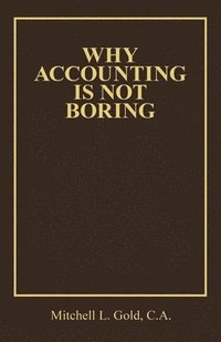 bokomslag Why Accounting is not Boring