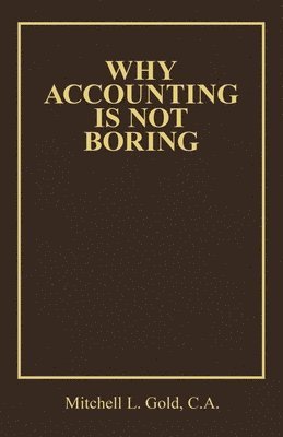 bokomslag Why Accounting is not Boring