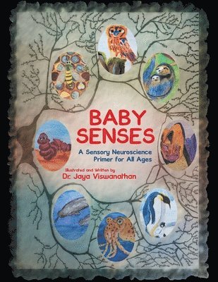 Baby Senses 1