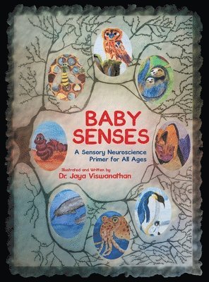 Baby Senses 1