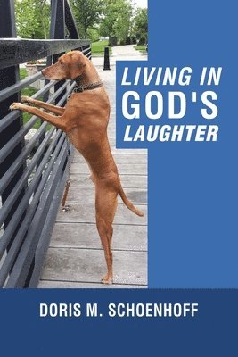 bokomslag Living in God's Laughter