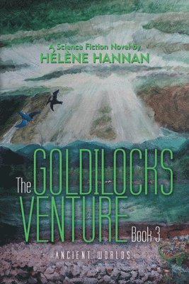 bokomslag Goldilocks Venture Book 3