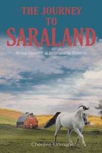 bokomslag The Journey to Saraland