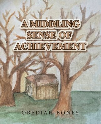 bokomslag Middling Sense of Achievement