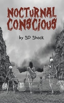 bokomslag Nocturnal Conscious