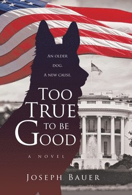 Joseph Bauer - Too True to Be Good, Inbunden