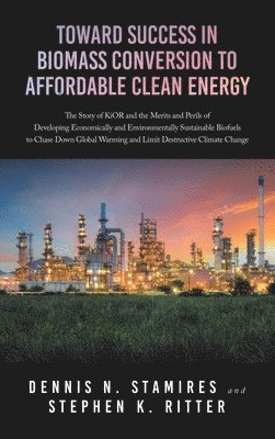 bokomslag Toward Success in Biomass Conversion to Affordable Clean Energy