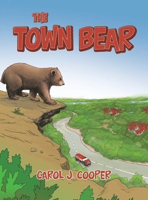 Town Bear