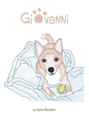 bokomslag Giovanni