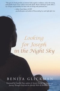 bokomslag Looking for Joseph in the Night Sky