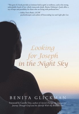 bokomslag Looking for Joseph in the Night Sky