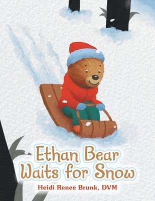 Heidi Renee Brunk DVM - Ethan Bear Waits for Snow, Häftad