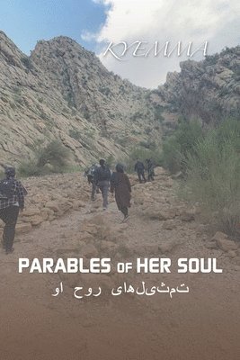 bokomslag Parables of Her Soul