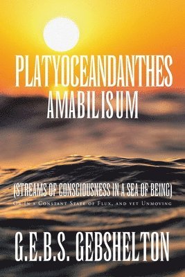 bokomslag Platyoceandanthes amabilisum (Streams of Consciousness in a Sea of Being)