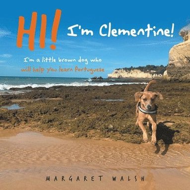 bokomslag Hi! I'm Clementine!