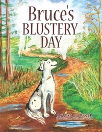 bokomslag Bruce's Blustery Day