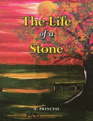 The Life of a Stone 1