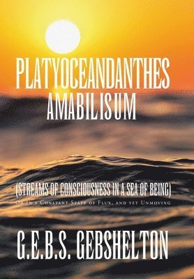 Platyoceandanthes amabilisum (Streams of Consciousness in a Sea of Being) 1